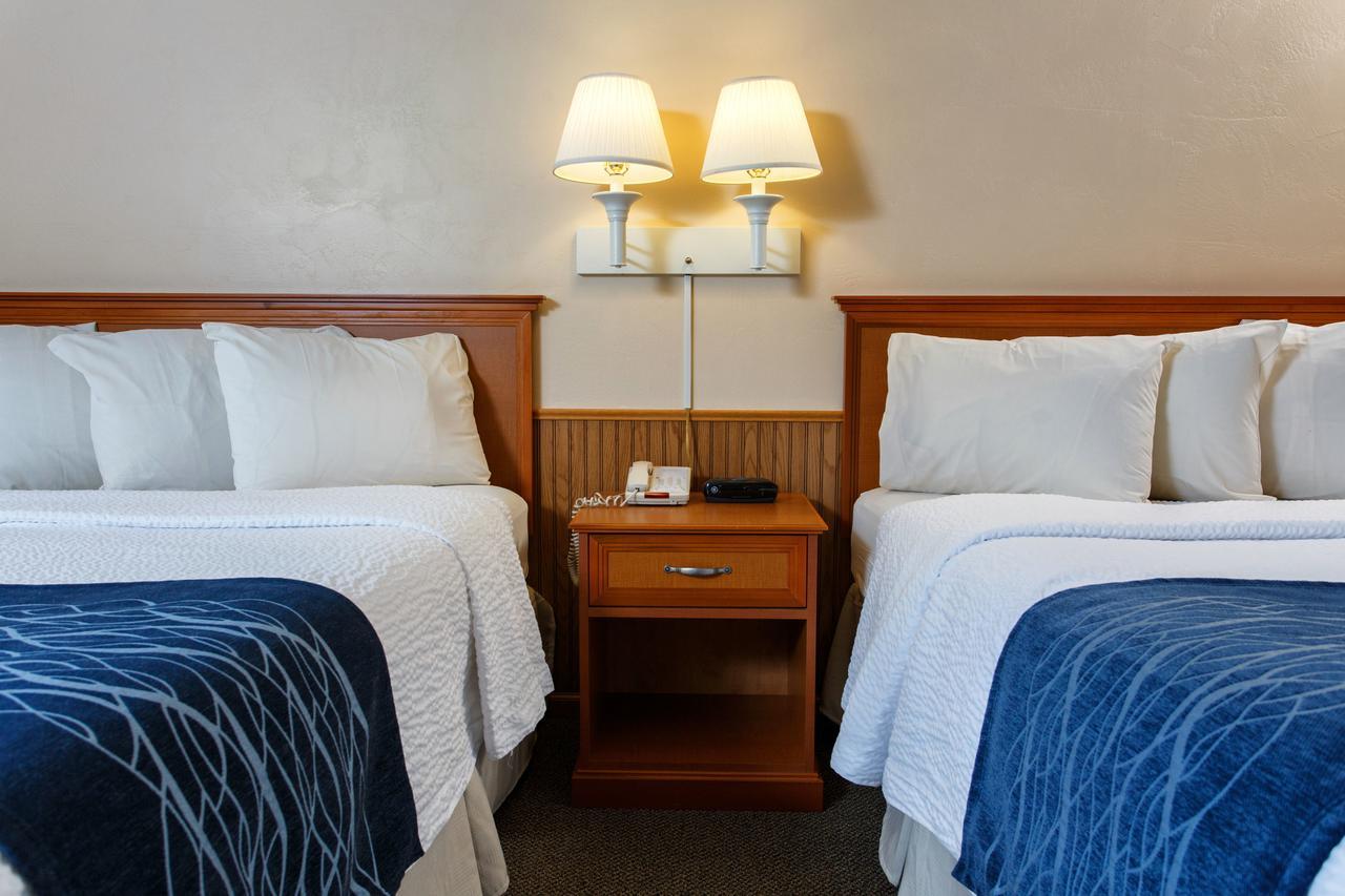 Shores 3*