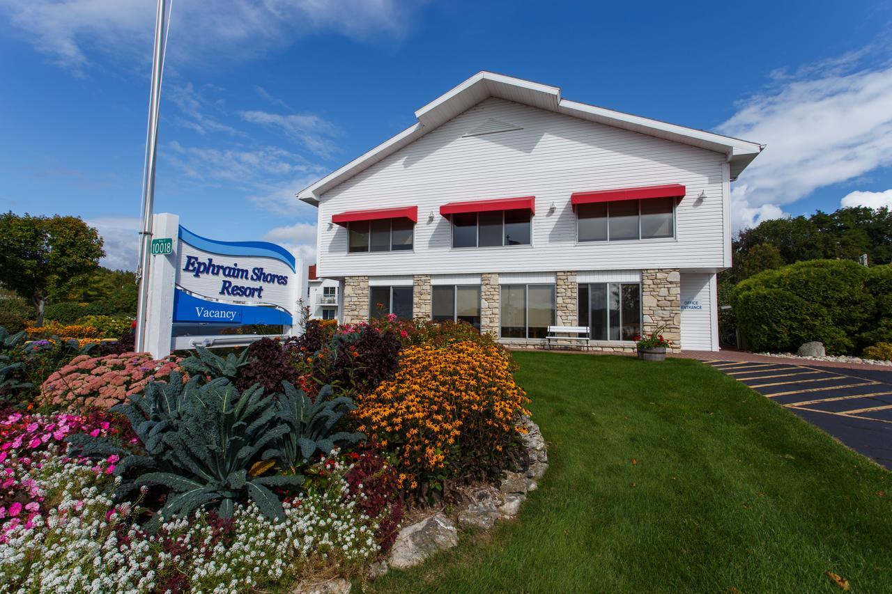 Hotel Shores 3*
