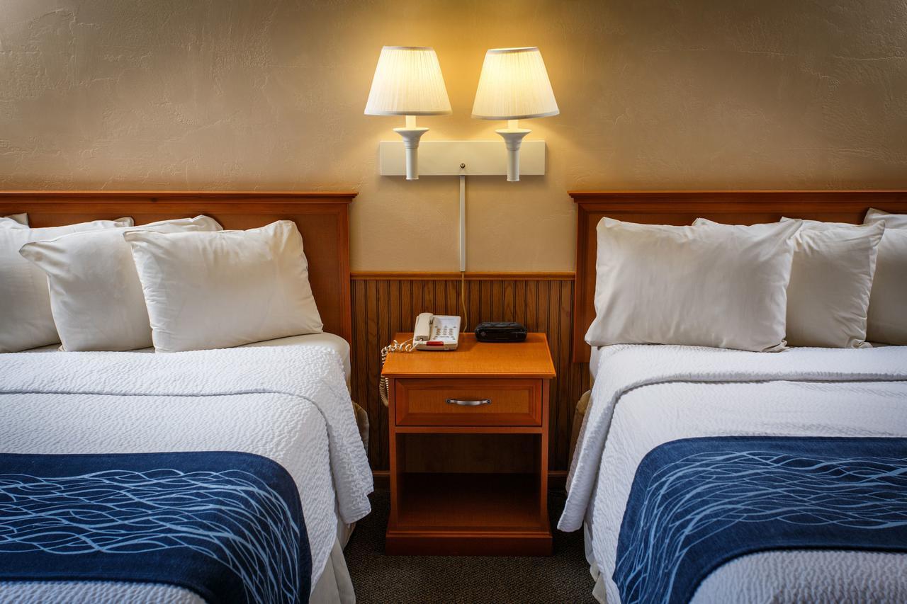 Hotel Shores